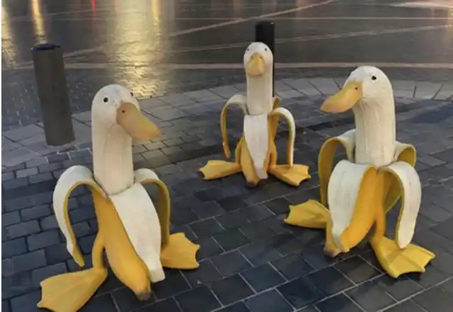 Die Bananenente – Produkte, die die Welt nicht braucht